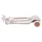 Image Детский самокат Caretero SATURA WHITE