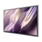 Image Televizor Samsung QE65S99HXUXUA