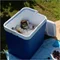 Image Ladă frigorifică auto Atlantic Electric CoolBox 24L, Blue/White