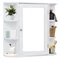 Image Шкаф с зеркалом Costway JV10446WH White