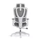 Image Scaun de birou Lumi Vida LV-CH10-26 Grey