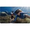 Image Линзы для экшн камеры Insta360 GO Ultra Aqua Lens