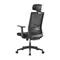 Image Scaun ergonomic de birou LumiVida LV-CH05-37 Black