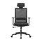 Image Scaun ergonomic de birou LumiVida LV-CH05-37 Black