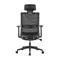 Image Scaun ergonomic de birou LumiVida LV-CH05-37 Black