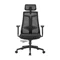 Image Scaun de birou LumiVida Ergonomic  LV-CH05-40,Black