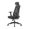 Image Scaun de birou LumiVida Ergonomic  LV-CH05-40,Black