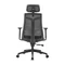 Image Scaun de birou LumiVida Ergonomic  LV-CH05-40,Black