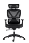 Image Fotoliu de birou ANTARES ESTER Black