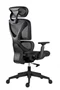 Image Fotoliu de birou ANTARES ESTER Black