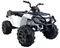 Image Электроквадроцикл Lean Cars BDM 0909 White