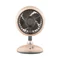 Image Ventilator ARDESTO AviaFan FT-F3600BG, Beige