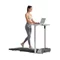 Image Беговая дорожка Kingsmith Treadmill R3 Hybrid+, Black