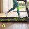 Image Беговая дорожка Zipro Jogger
