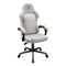 Image Fotoliu de gaming Cougar FUSION EX Ash F