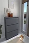 Image Dulap pentru încălțăminte Bofigo 3D Anthracite