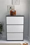 Image Dulap pentru încălțăminte Bofigo 3D Anthracite/White