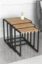 Image Set măsuțe de cafea Bofigo Metal Nesting Pine/Black