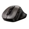 Image Mouse Genius Ergo 9000S, Champagne titanium