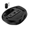 Image Mouse Genius Ergo 9000S, Champagne titanium