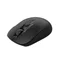 Image Mouse A4Tech FG16S, Black