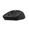 Image Mouse A4Tech FG16S, Black