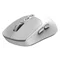 Image Mouse Genius NX-8080S, White/Grey