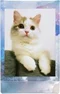 Image Фотобумага Fujifilm Instax Mini Film 10 sheets Pastel Galaxy