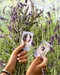 Image Film foto Fujifilm Instax Mini 10 sheets Lavender