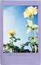 Image Film foto Fujifilm Instax Mini 10 sheets Lavender