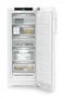 Image Морозильник LIEBHERR FNd 465i