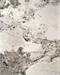 Image Стол для кухни HALMAR FERNANDO, Beige Marble/Black