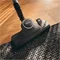 Image Пылесос MIELE Boost CX1 Parquet PowerLine Белый лотос