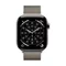 Image Ремешок APPLE 42mm Natural Milanese Loop