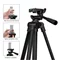 Image Selfie stick AccExpert F-13T, Black
