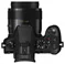 Image Цифровой фотоаппарат Panasonic Lumix DMC-FZ1000 (Black)