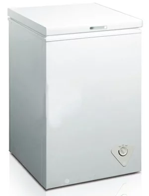 Ladă frigorifică ZANETTI LF 100 A+