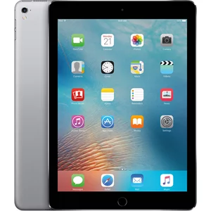 iPad Pro 9.7 32GB 4G Space Gray