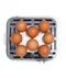 Пароварка для яиц FIRST 005115-3