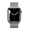Умные часы Apple Watch Series 7 GPS + LTE 41mm Silver Stainless Steel