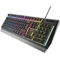 Tastatură Genesis Rhod 300 RU