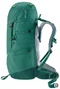 Походный рюкзак Deuter Fox 40 Alpinegreen-Forest