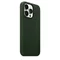 Чехол Original iPhone 13 Pro Leather Case with MagSafe Sequoia Green