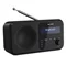 Портативное радио Sharp DR-P420BKV01 Black