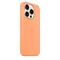 Чехол Original iPhone 15 Pro Silicone Case Orange Sorbet