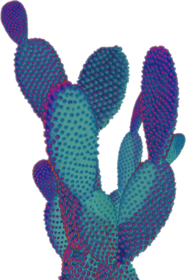 Megactus