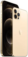 iPhone 12 Pro Max 256GB Dual Gold