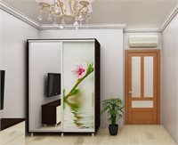 Шкаф купе PS ДХ-120 1.2 м фотопечать 1 дверь