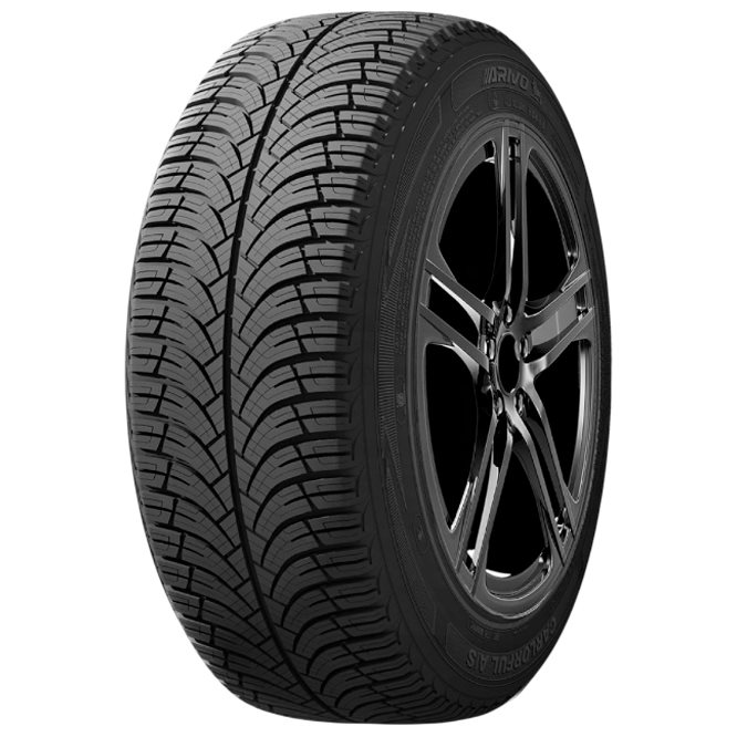 Шины Arivo Carlorful A/S 225/60 R17 99H