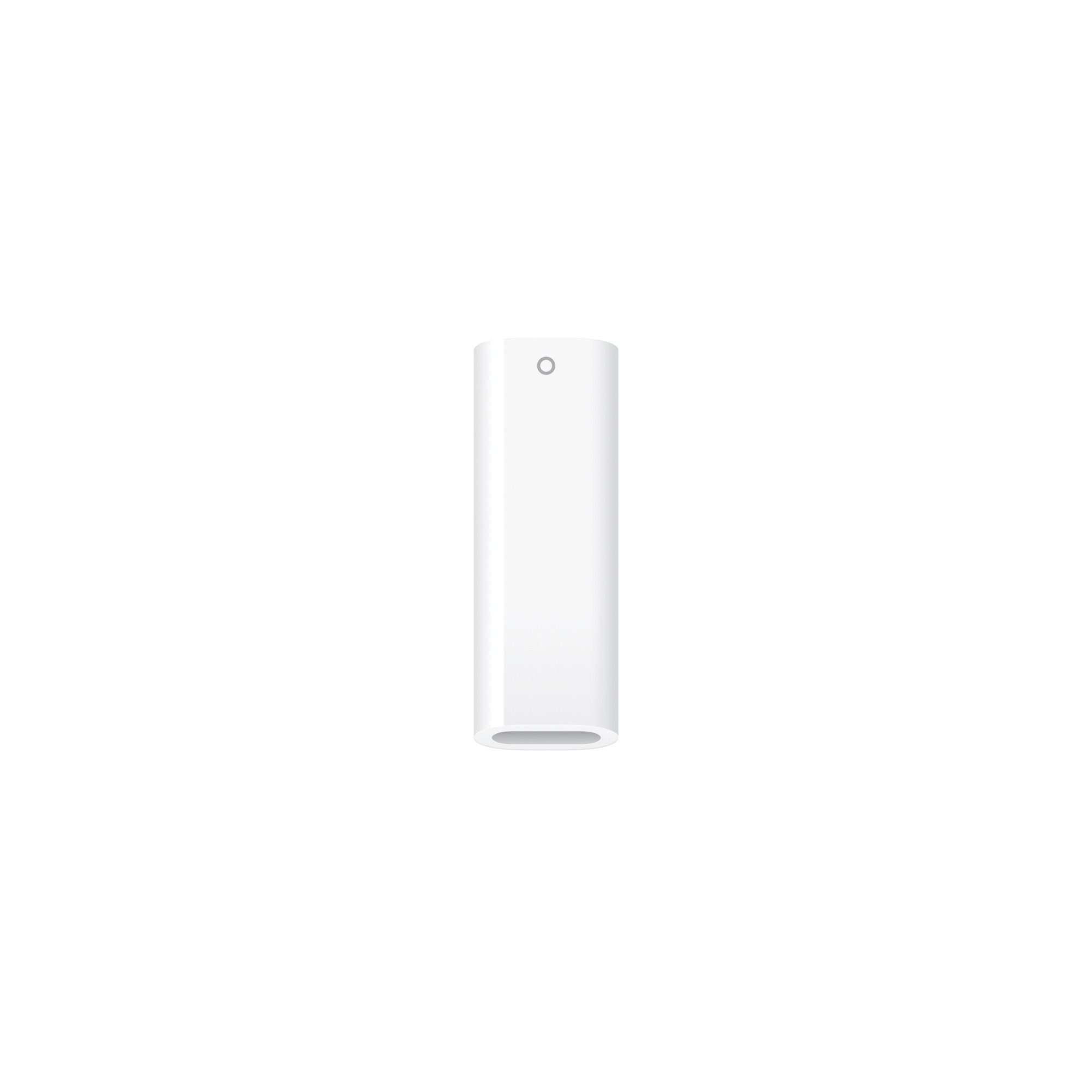 Адаптер Apple USB-C to Apple Pencil A2869, белый